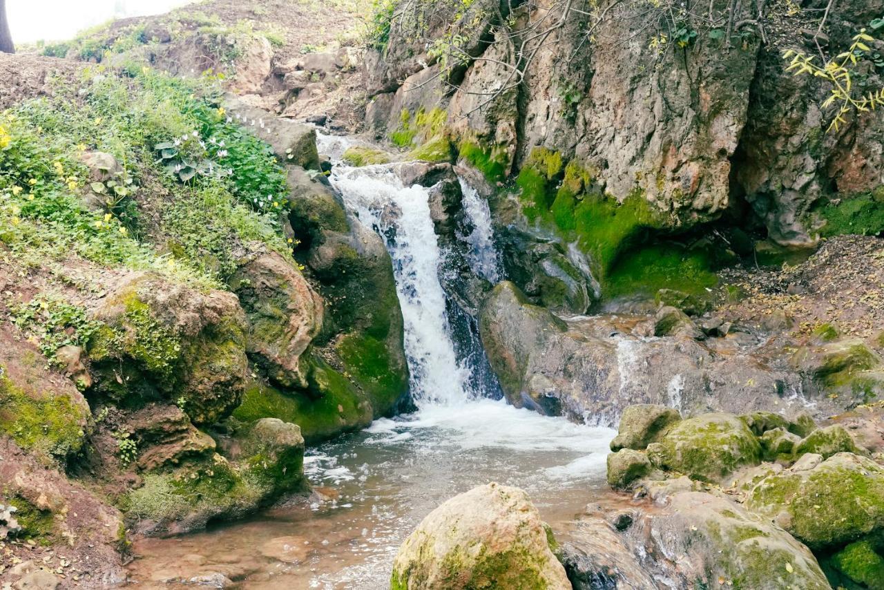 Parod Country Lodge Экстерьер фото